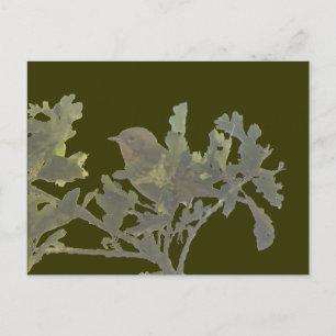 Cartão postal Frequente