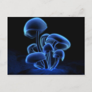 Cartão Postal Fresco, Divertido, Fashion, Retro, Legal