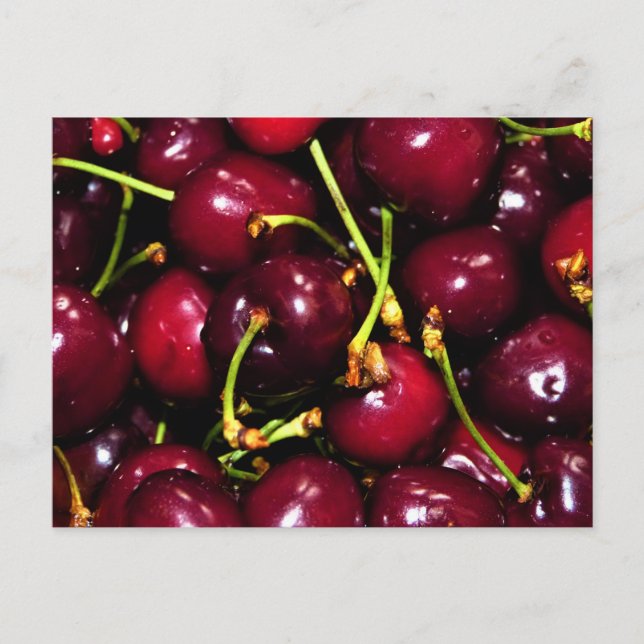 Cartão Postal Fresh Juicy Cherries with Water Drops (Frente)