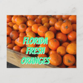 Cartão Postal FRESH ORANGES FLORIDA Farmer's Market Grove