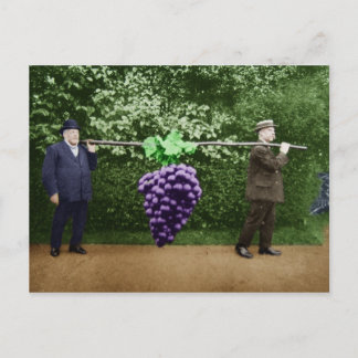 Cartão postal Friar Park #17