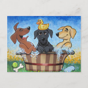 Cartão Postal Friccione laboratórios de um dub 3 do dub em um