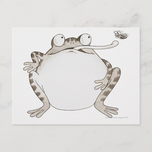 Cartão Postal Frig Procurando (Frente)