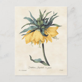 Cartão Postal Fritillaria Amarela Vintage Botânica