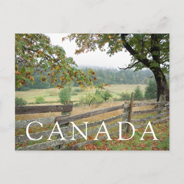 Cartão Postal Fronteira Antiga Em Uma Fazenda (Frente)