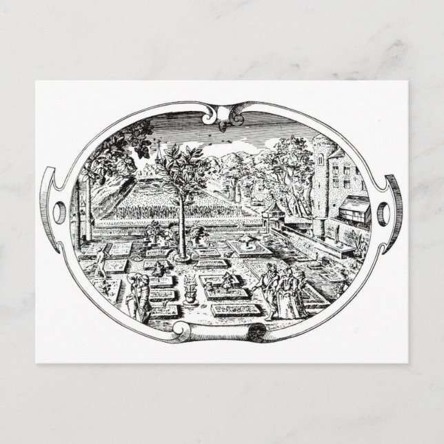 Cartão Postal Frontispiece, do "The Herball", de John Gerard ( (Frente)