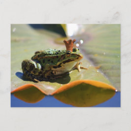 Cartão Postal Froschönig
