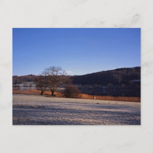 Cartão Postal Frosty matle Esthwaite Water Cumbria Inglaterra