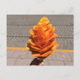 Cartão Postal Fruta