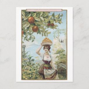 Cartão Postal Fruta Carregando