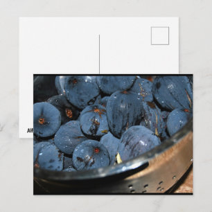 Cartão Postal Fruta de figo em escorredor