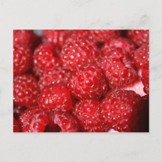 Cartão Postal fruta de framboesa comida