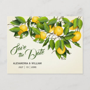 Cartão Postal Fruta de Limão Moderno Vintage   Casamento Salvar 