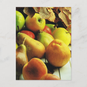 Cartão Postal Fruta e vegetais, maçãs e peras