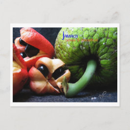 Cartão Postal Fruta jamaicana do acque e frutos do mar