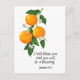 Cartão Postal Fruta Laranja Gênesis 12:2