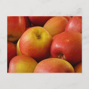 Cartão Postal Fruta Maçãs de outono Cores de outono Destino