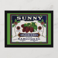 Fruta Sunny Loganberry