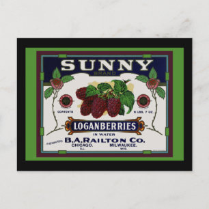 Cartão Postal Fruta Sunny Loganberry