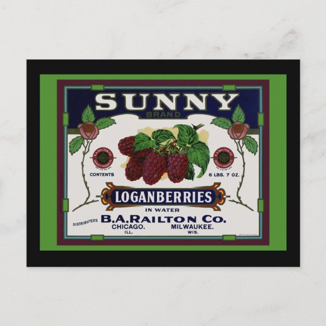 Cartão Postal Fruta Sunny Loganberry (Frente)