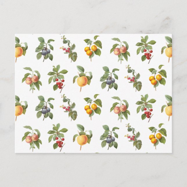 Cartão Postal frutas botânicas de safra moderna (Frente)