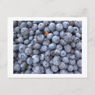 Cartão Postal frutas de mirtilo, foto tirada em uma fazenda de m