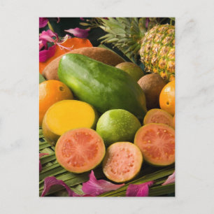 Cartão Postal Frutas tropicais