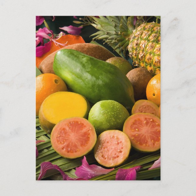 Cartão Postal Frutas tropicais (Frente)
