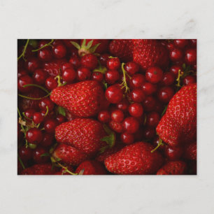 Cartão Postal Frutas Vermelhas e Morangos