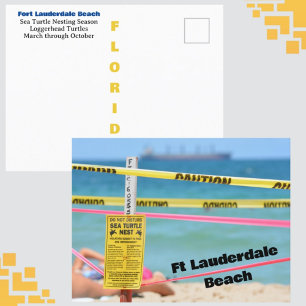 Cartão Postal Ft Lauderdale Beach Sea Turtle Nesting Season