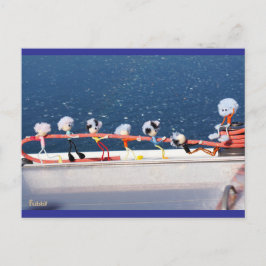 Cartão Postal Fubby's die een lijn lieren van een Zeilboot.