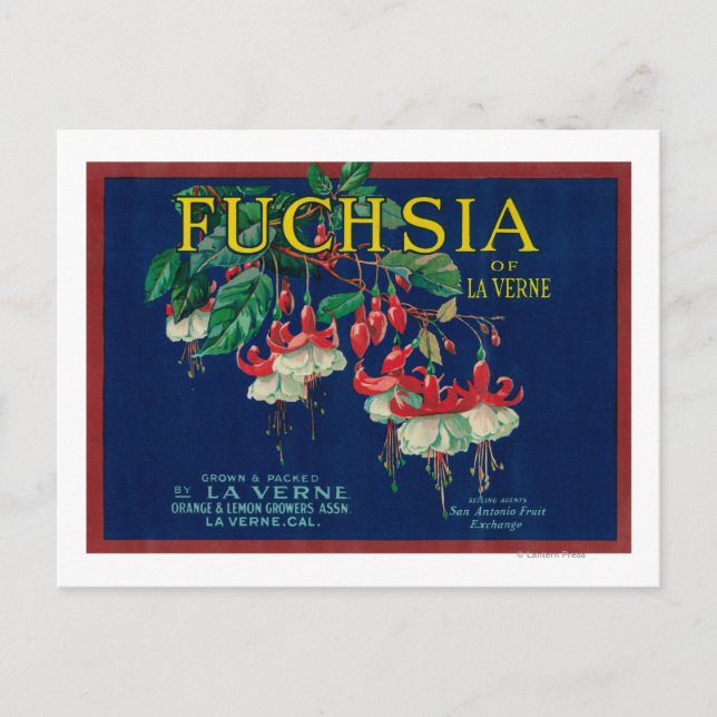 Cartão Postal Fuchsia Lemon LabelLa Verne, CA (Frente)