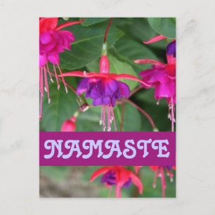 Cartão postal fúcsia NAMASTE