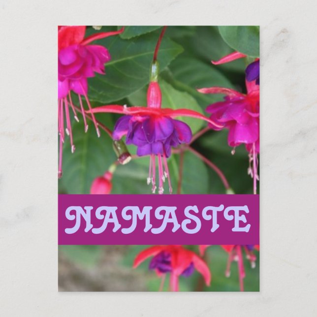 Cartão postal fúcsia NAMASTE (Frente)