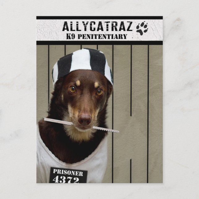 Cartão Postal Fuga de Allycatraz (Frente)
