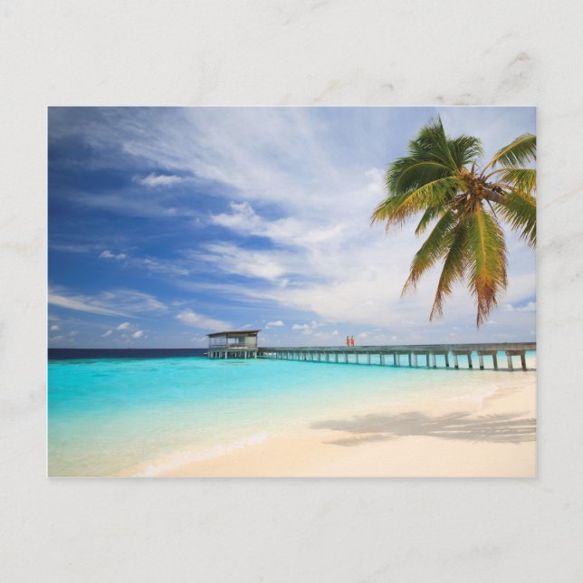 Cartão Postal Fuga maldívia (Frente)