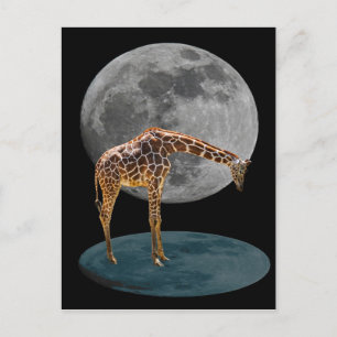 CARTÃO POSTAL FULL MOON GIRAFFE