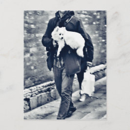 Cartão Postal fullsizeoutput_c78 Pomeraniano preto e branco