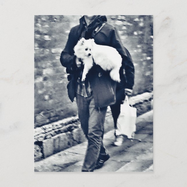 Cartão Postal fullsizeoutput_c78 Pomeraniano preto e branco (Frente)