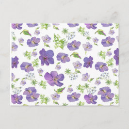 Cartão Postal fundo botânico floral de verão da água lilás