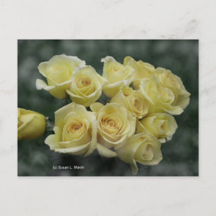 Cartão Postal Fundo com buquê Rosa Amarelo
