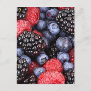 Cartão Postal Fundo da Fruta da Floresta