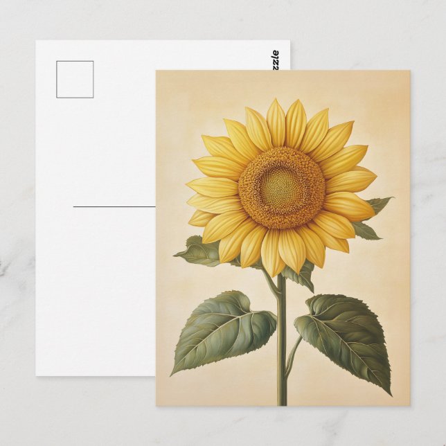 Cartão Postal Fundo de Cor da Água Amarelo Sunflower (Frente/Verso)