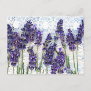 Cartão Postal fundo lavanda
