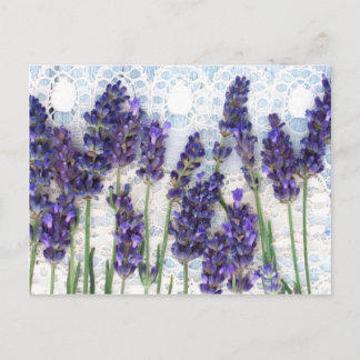 Cartão Postal fundo lavanda