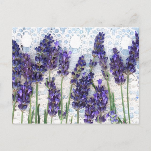Cartão Postal fundo lavanda (Frente)