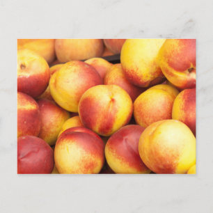 Cartão Postal Fundo nectarino