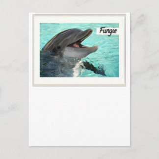 Cartão Postal Fungie The Dolphin Postcard