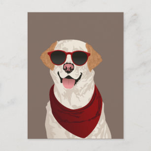 Cartão Postal Funky Labrador Retriever para Cachorros Amantes