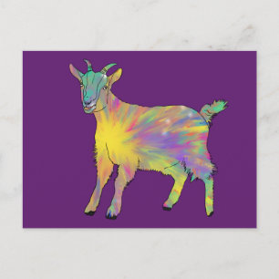 Cartão Postal Funky Starburst Goat Colorous Cuide Animal Art
